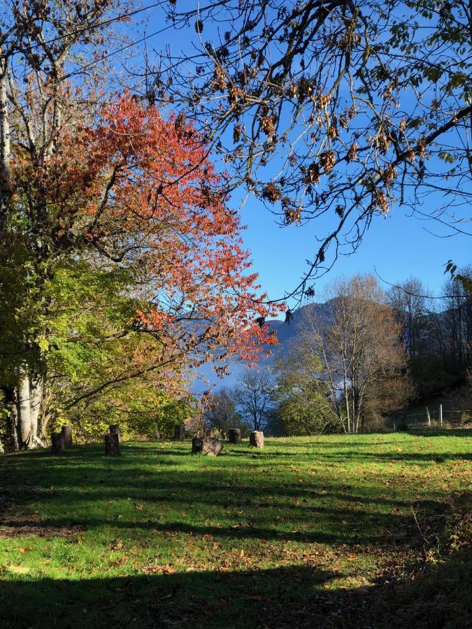 Bed and Breakfast Chapamama Aillon-le-Vieux Екстер'єр фото