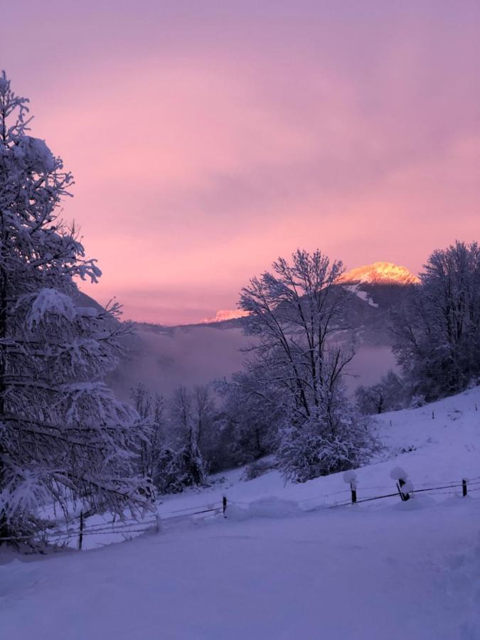 Bed and Breakfast Chapamama Aillon-le-Vieux Екстер'єр фото